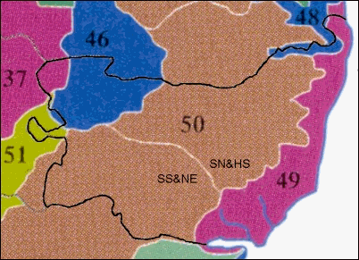 graphic