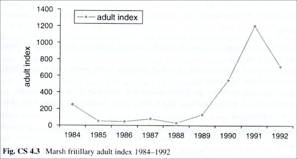 graphic